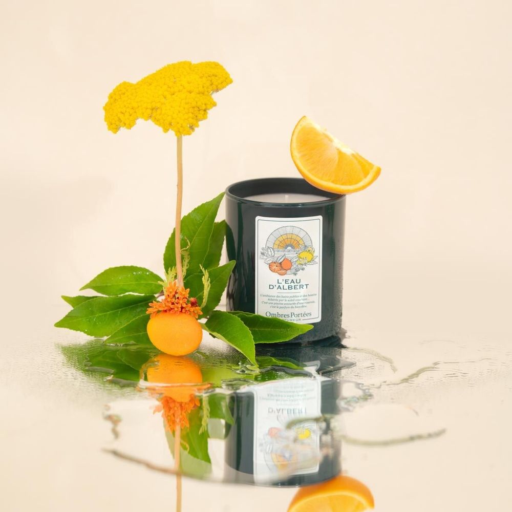 Bougies - Bougie Ombres Portées Parfumeur L'eau d'Albert - OMBRES PORTÉES PARFUMEUR