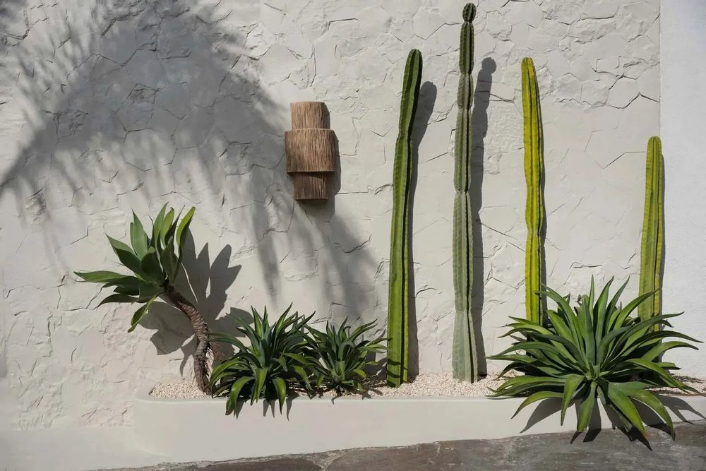 Wall lamps - The Ohana Wall Applique - Natural - BAZAR BIZAR LIVING