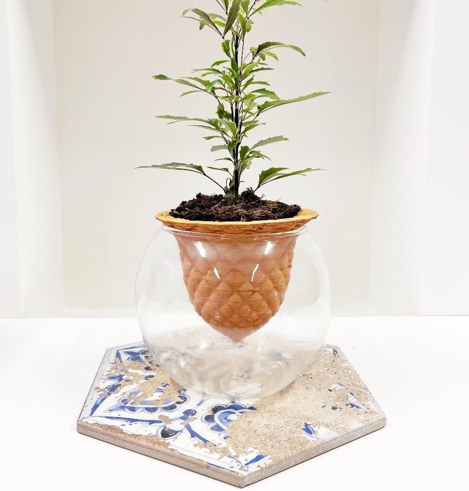 Vases - Clay pot - PIANO B - 3D self-irrigating design with glass for top - COMMON PLACE YOUR URBAN JUNGLE