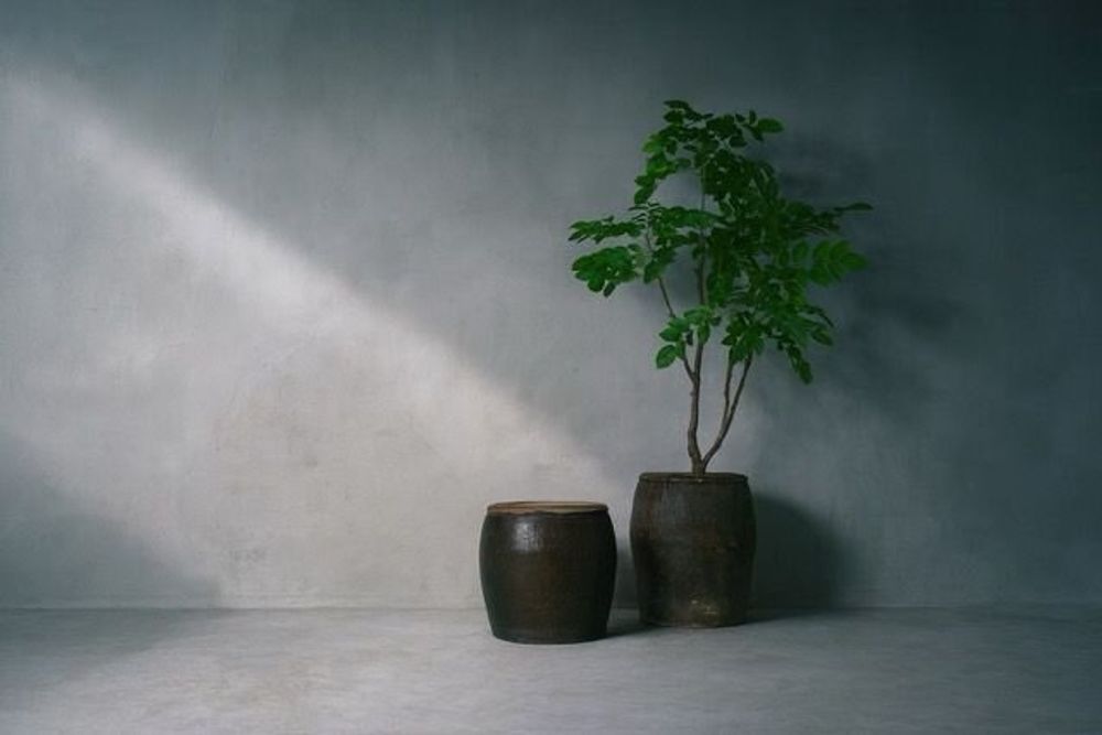 Pots de fleurs - Jardinières Vitrées - THE SILK ROAD COLLECTION