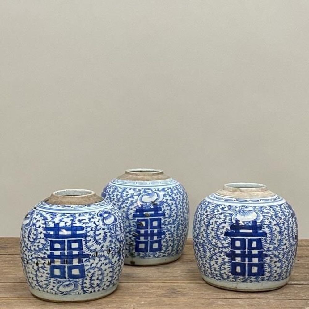 Vases - Bocaux à Gingembre - THE SILK ROAD COLLECTION