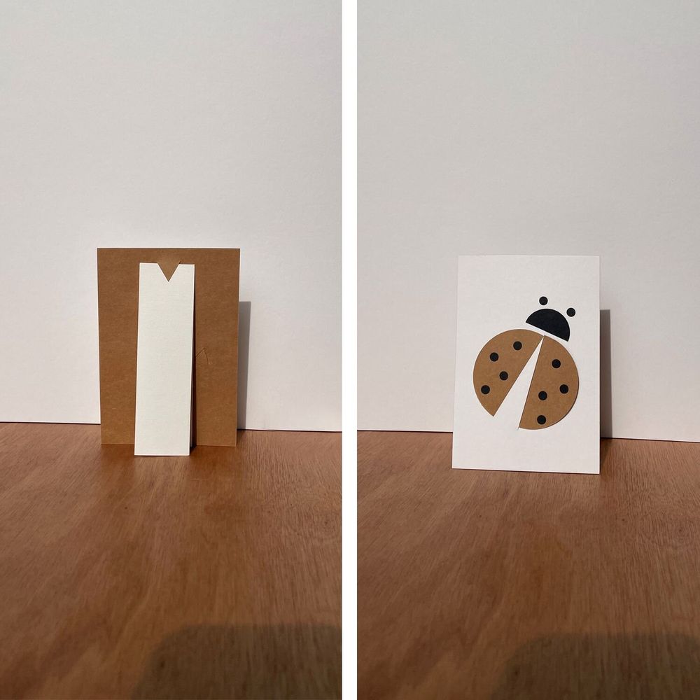 Card shop - DISCOVERY PACK assortment of 25 OISO® board cards - OISO