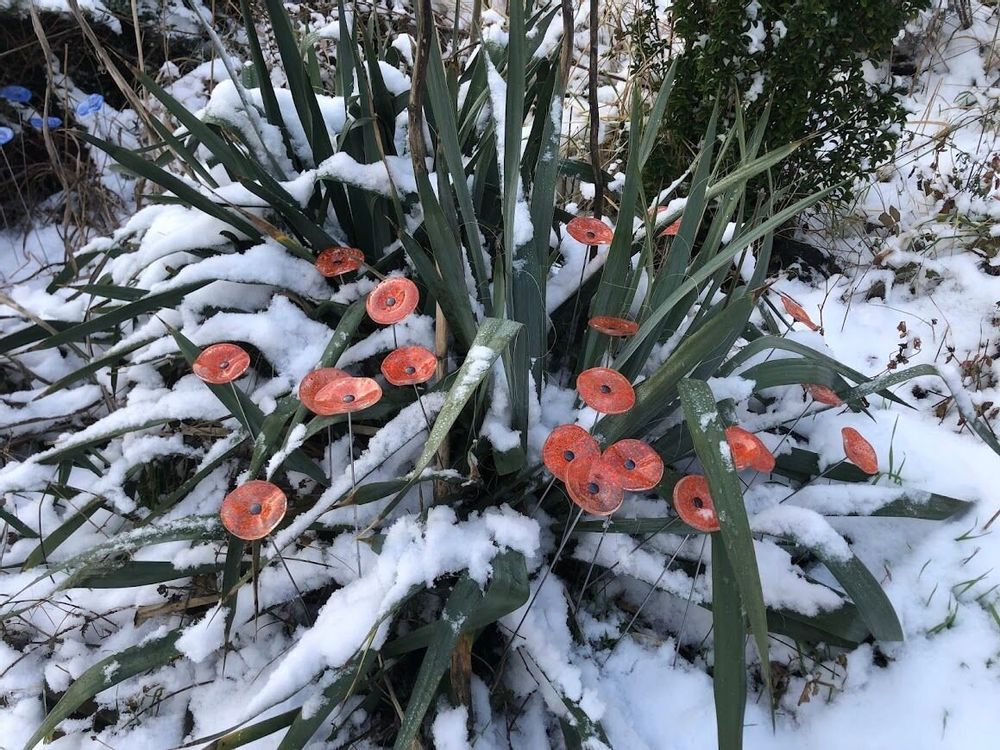 Floral decoration - Round small glass flower for outdoor use in transparent, orange, red colour with 43 cm stainless steel stem - CARNEOL GLASS