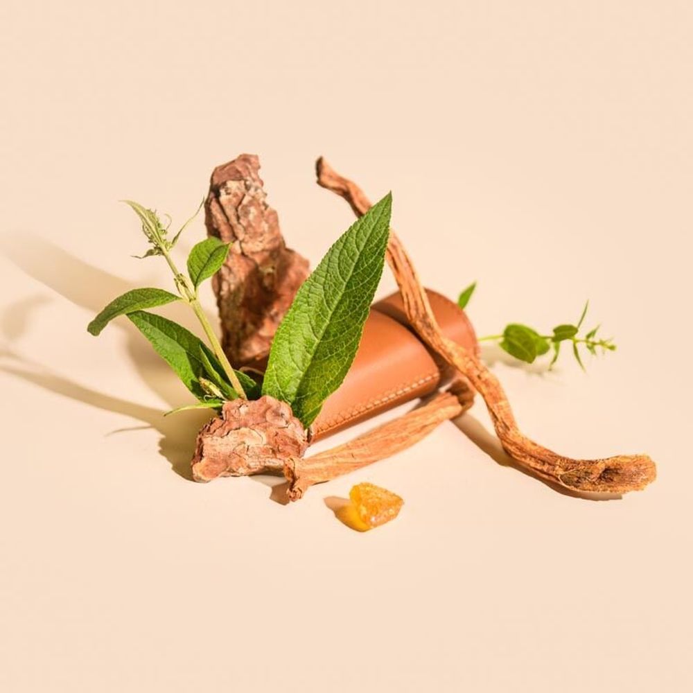 Bougies - Bougie Ambre verre blanc 180g - Cire 100% végétale - TANDEM FRAGRANCES