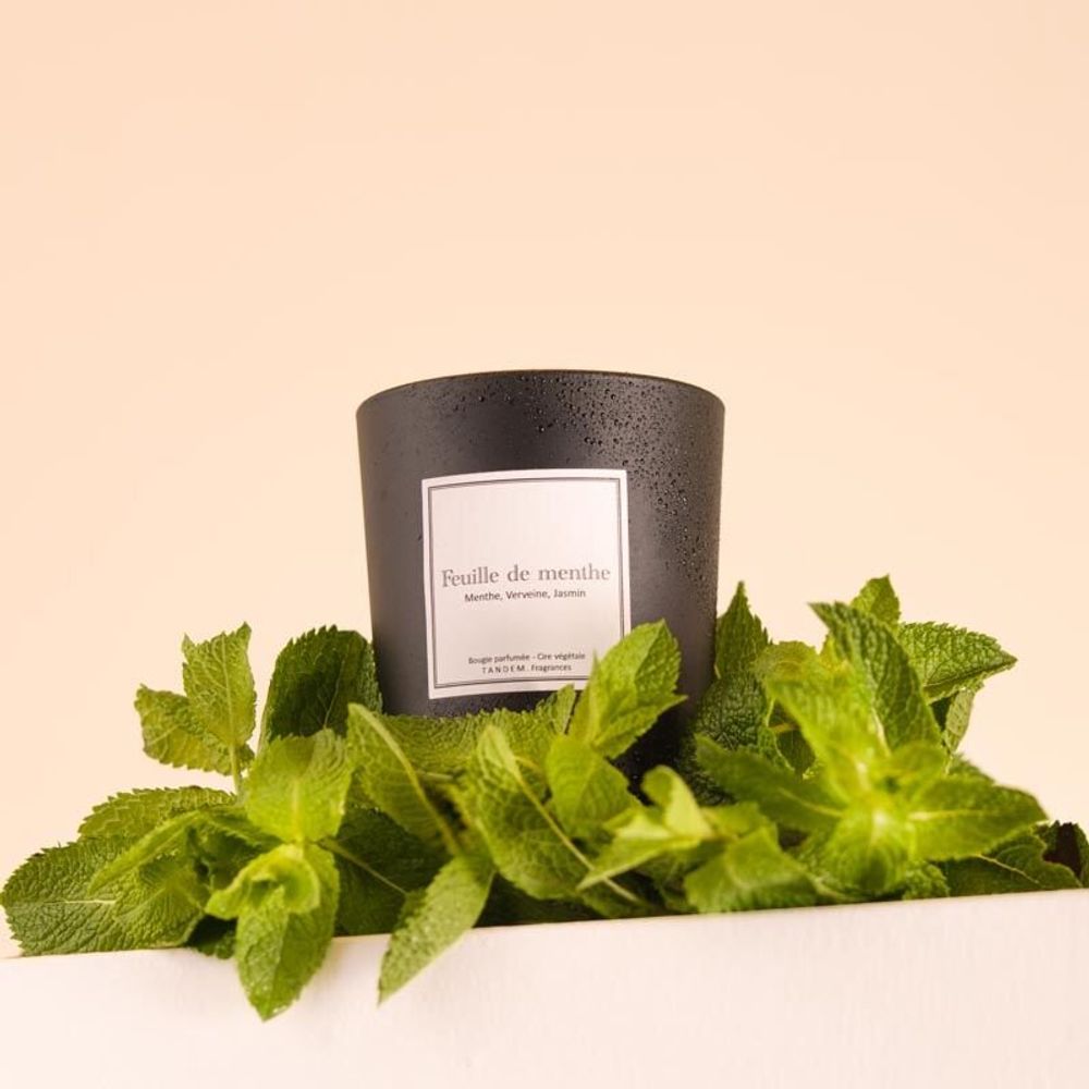 Bougies - Bougie Feuille de menthe verre noir 180g - Cire 100% végétale - TANDEM FRAGRANCES