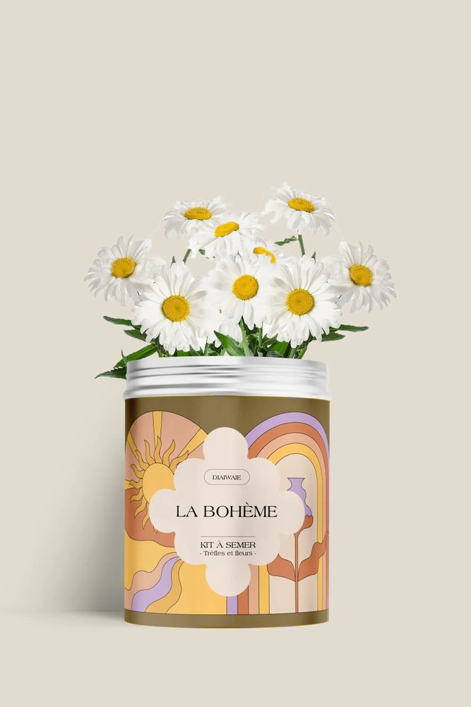 Floral decoration - Sowing Kit - La Bohème - DIAIWAIE