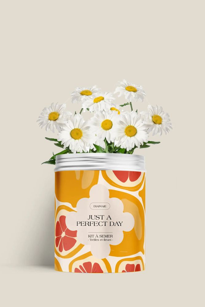 Floral decoration - Sowing Kit - Just a Perfect Day - DIAIWAIE