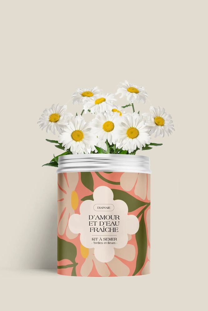 Décorations florales - Kit à semer - D'amour et d'eau fraîche - DIAIWAIE