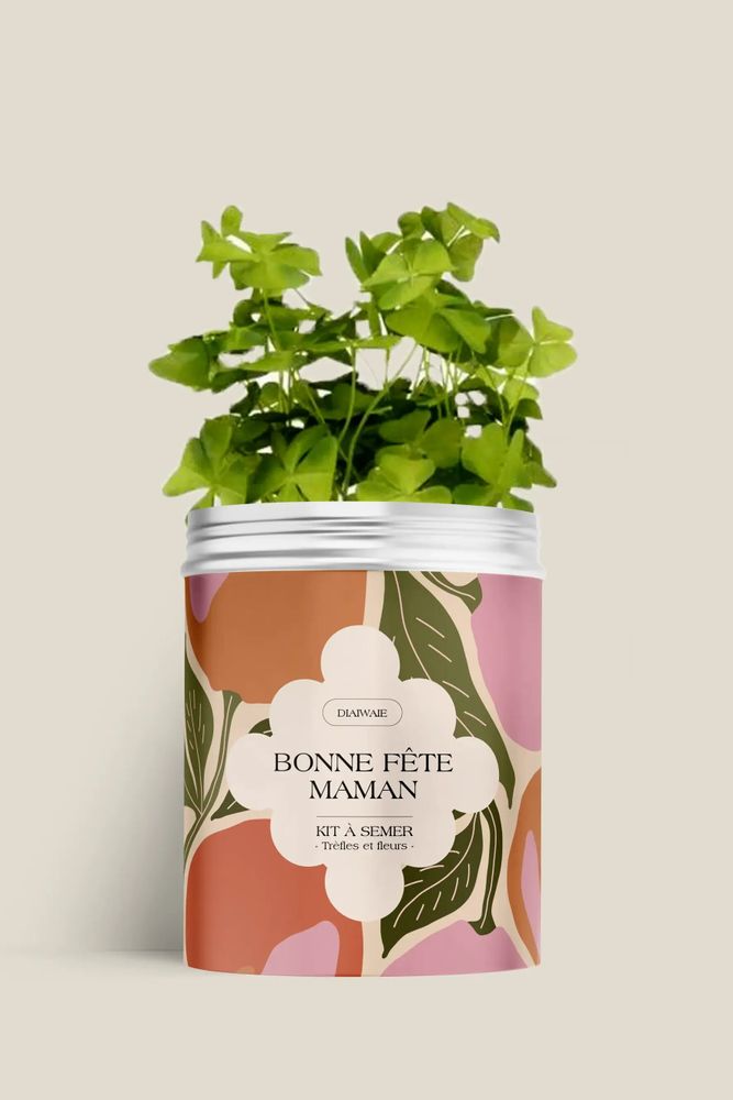 Décorations florales - Kit à semer - Bonne fête maman - DIAIWAIE