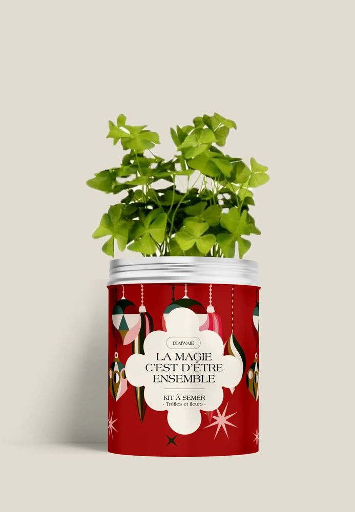 Floral decoration - Sowing Kit - Magic is being together - DIAIWAIE