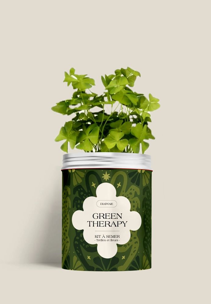 Floral decoration - Seed Kit - Green Therapy - DIAIWAIE