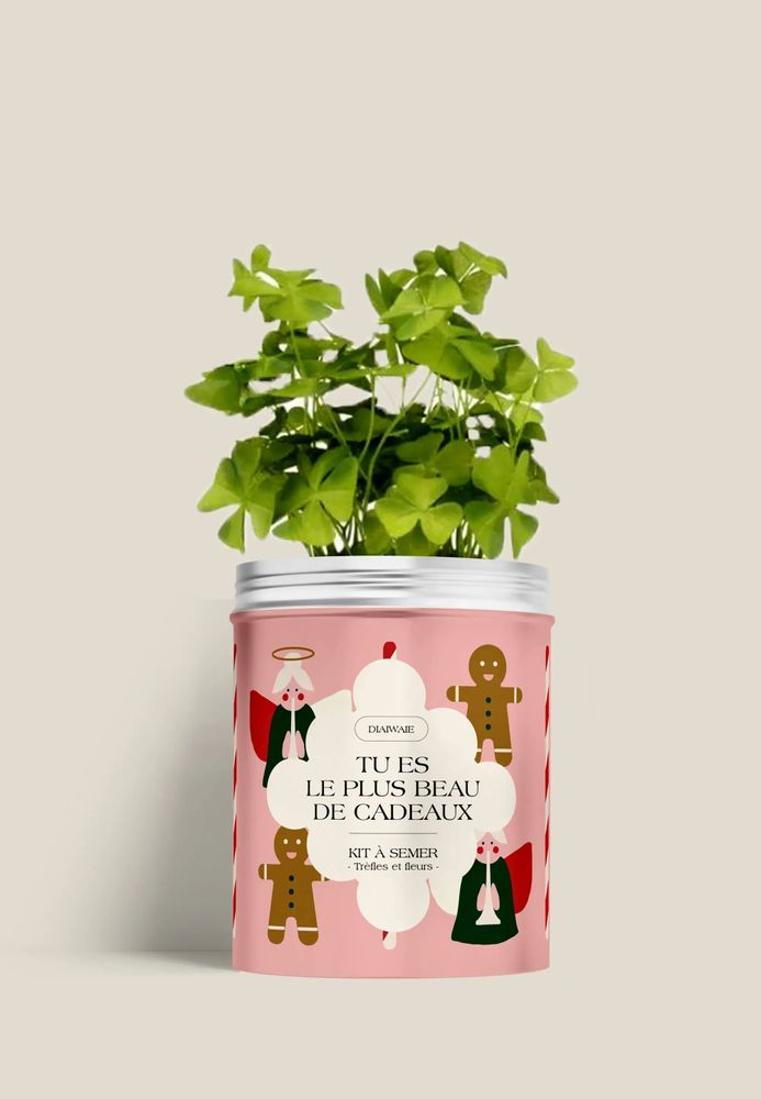Floral decoration - Seed Kit - You are the most beautiful gift - DIAIWAIE