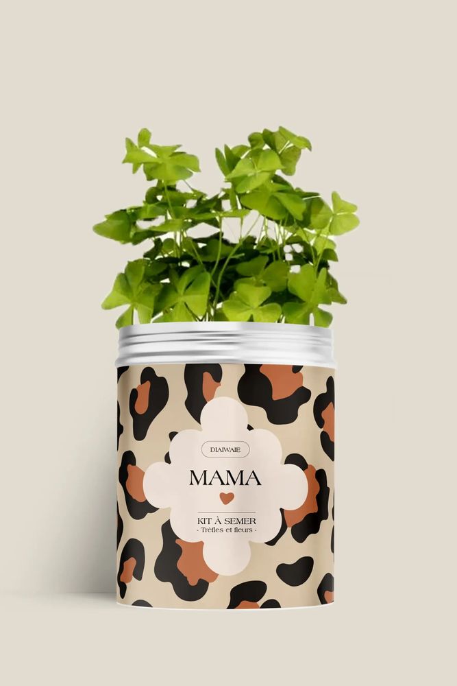 Décorations florales - Kit à semer - Mama <3 - DIAIWAIE