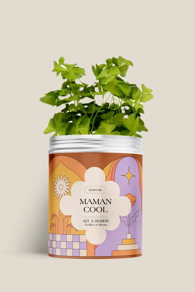Décorations florales - Kit à semer - Maman cool - DIAIWAIE