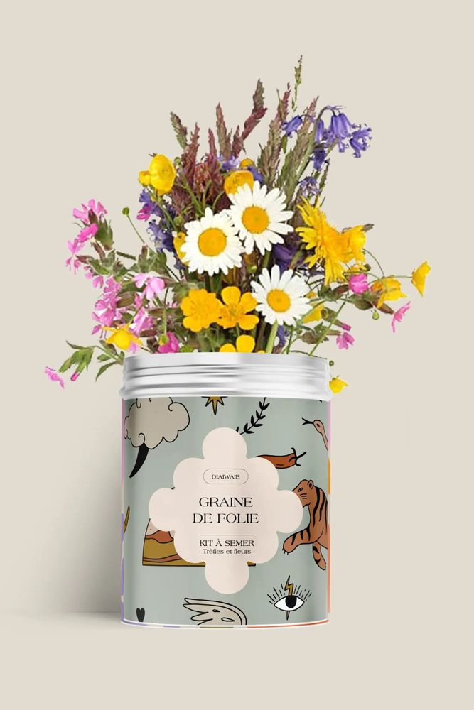 Décorations florales - Kit à semer - Graine de folie - DIAIWAIE