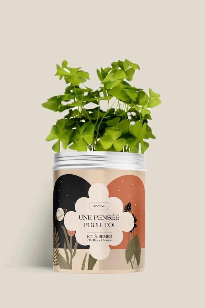 Décorations florales - Kit à semer - Une pensée pour toi - DIAIWAIE