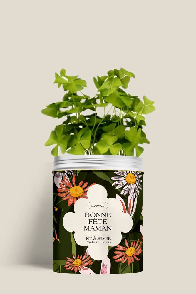 Décorations florales - Kit à semer - Bonne fête maman - DIAIWAIE