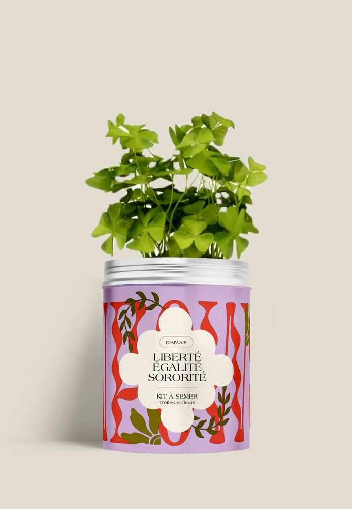 Décorations florales - Kit à semer - Liberté égalité sororité - DIAIWAIE