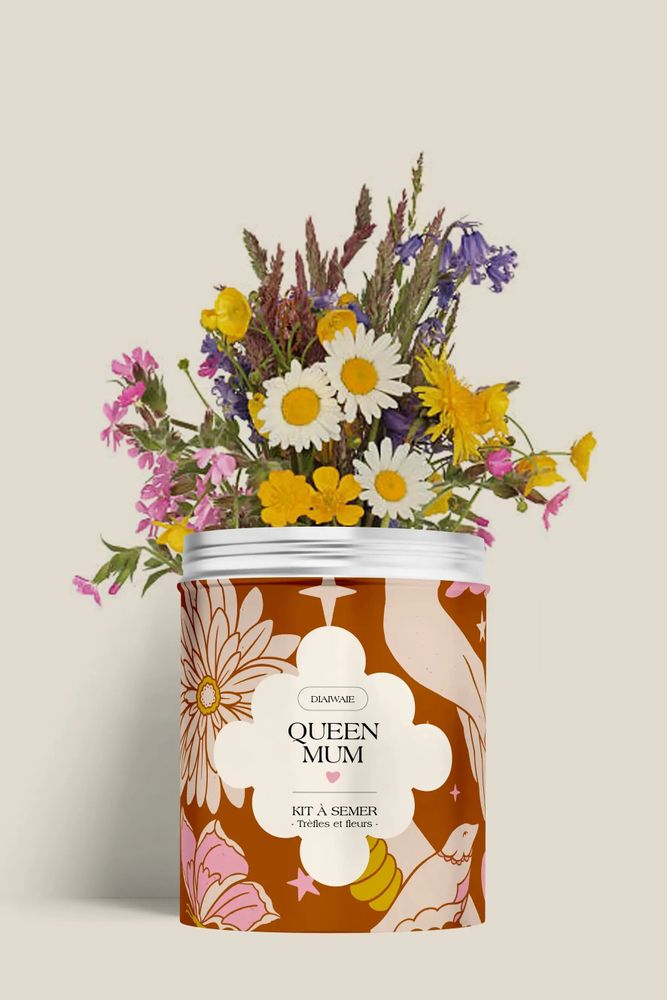 Floral decoration - Sowing Kit - Queen Mum - DIAIWAIE