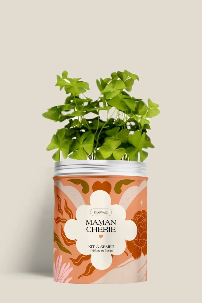 Décorations florales - Kit à semer - Maman Chérie - DIAIWAIE