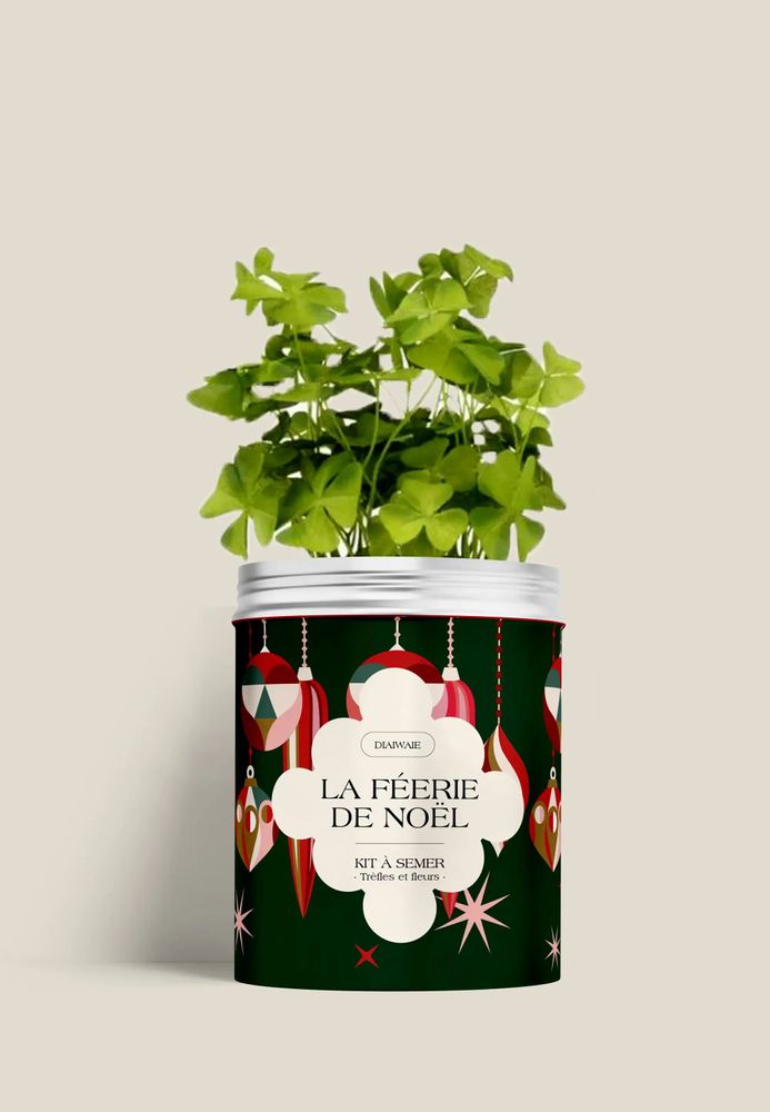 Floral decoration - Sowing Kit - The Magic of Christmas - DIAIWAIE