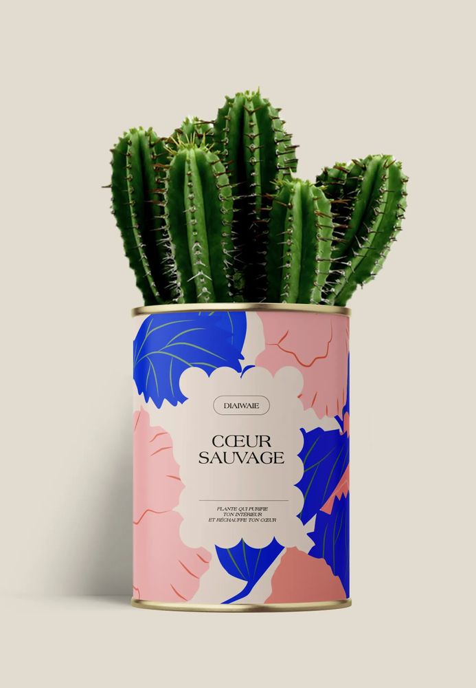 Cadeaux - Coeur sauvage - Maxi Cactus - DIAIWAIE