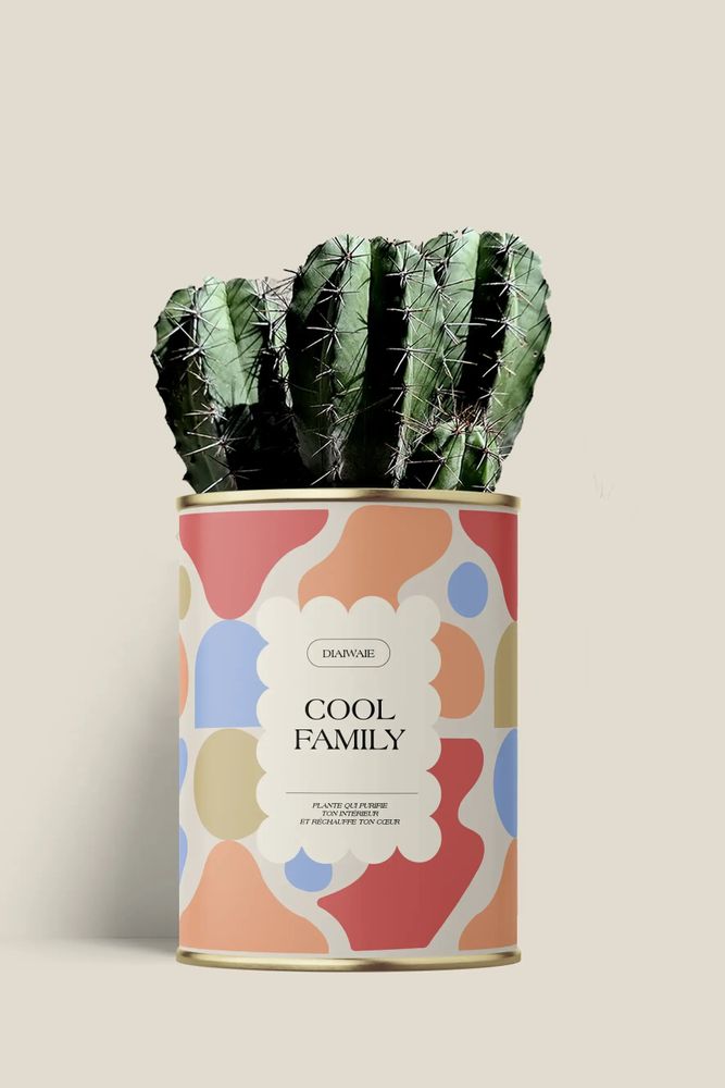 Gifts - Cool family - Maxi Cactus - DIAIWAIE
