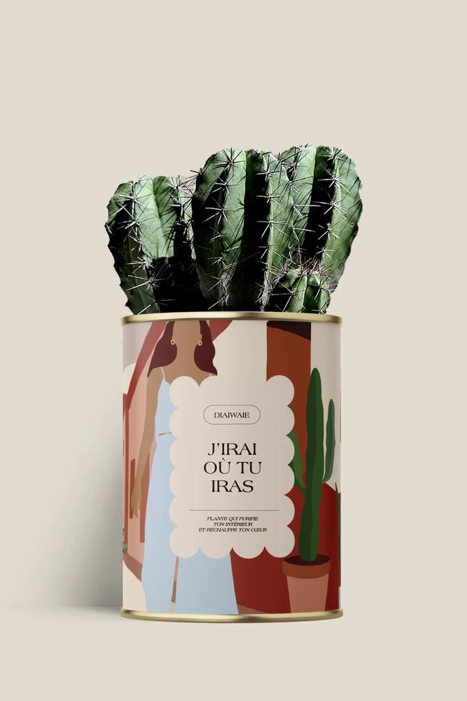 Cadeaux - J'irai ou tu iras - Maxi cactus - DIAIWAIE