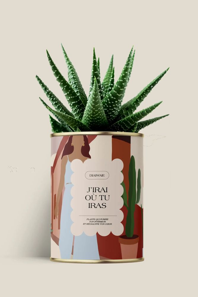 Gifts - J'irai ou tu iras - Maxi aloé - DIAIWAIE