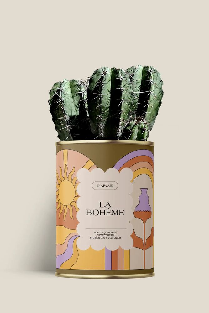 Cadeaux - La bohème - Maxi cactus - DIAIWAIE