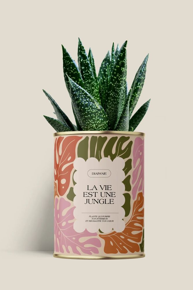 Gifts - La vie est une jungle - Maxi Aloé - DIAIWAIE