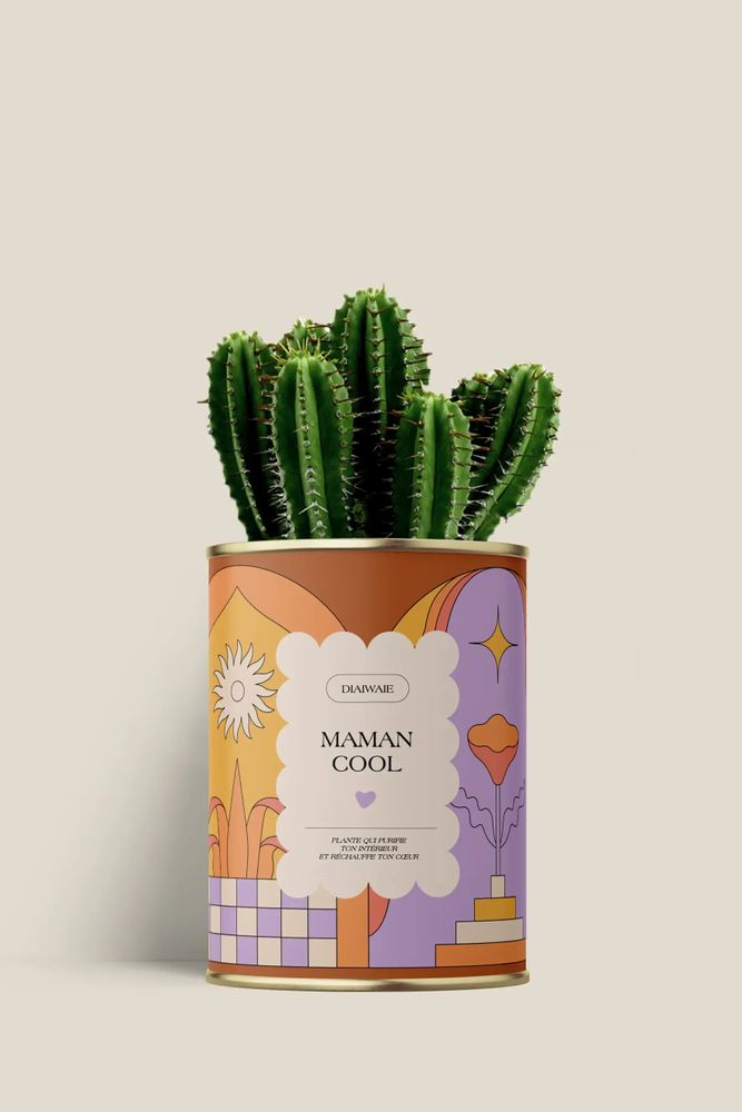 Cadeaux - Maman cool - Mini Cactus - DIAIWAIE