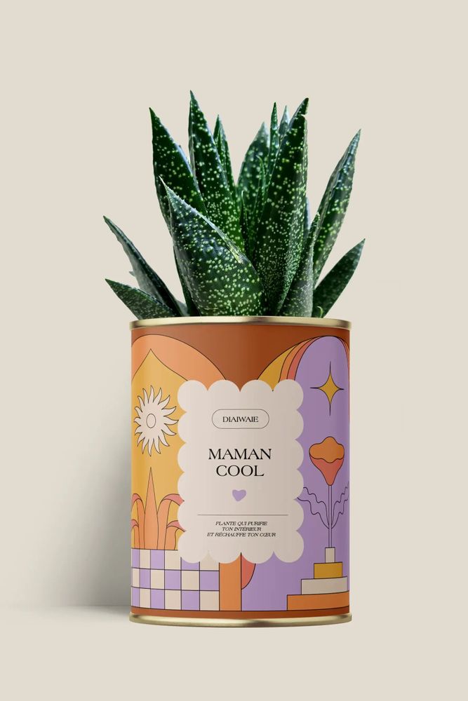 Gifts - Maman cool - Maxi Aloé - DIAIWAIE