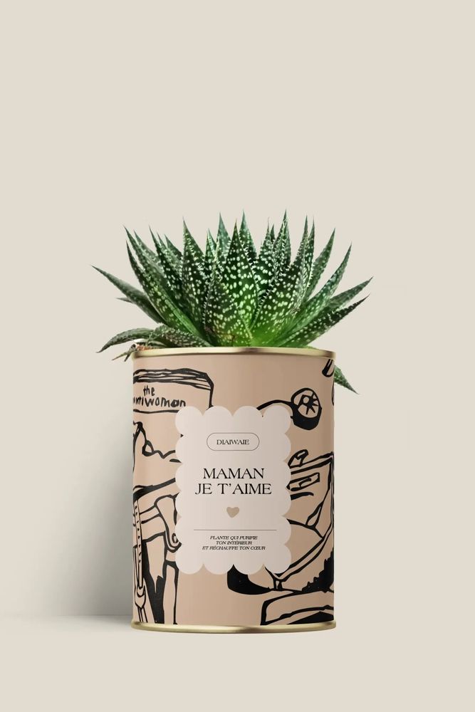 Gifts - Maman je t'aime - Mini Aloé - DIAIWAIE