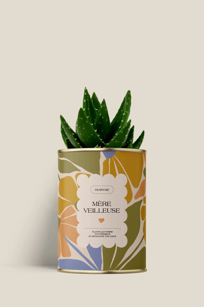 Cadeaux - Mére veilleuse - Mini Aloé - DIAIWAIE