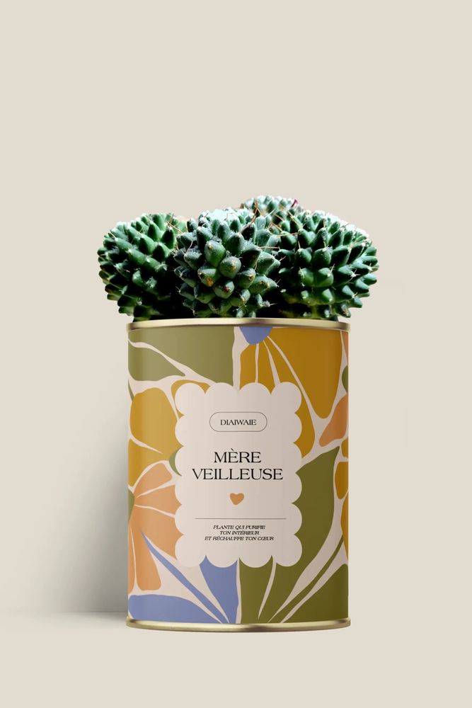 Gifts - Mére veilleuse - Maxi Cactus - DIAIWAIE