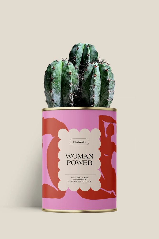 Gifts - Woman power - Maxi Cactus - DIAIWAIE