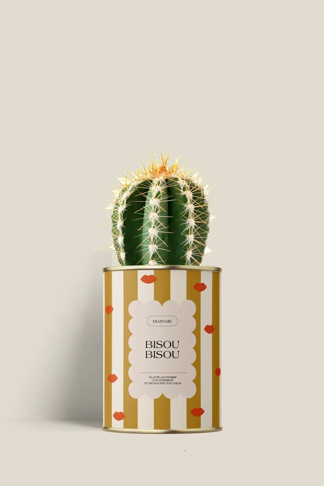 Gifts - Bisou bisou - Mini Cactus - DIAIWAIE