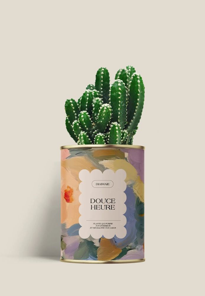 Cadeaux - Douce Heure - Mini Cactus - DIAIWAIE