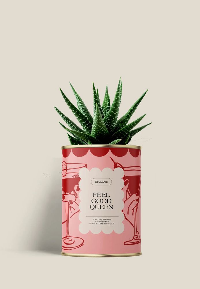 Gifts - FEEL GOOD QUEEN - Mini Aloé - DIAIWAIE