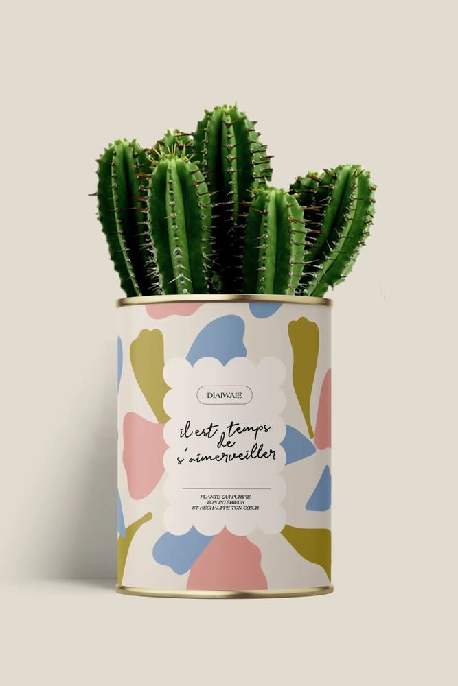Gifts - Il est temps de s'aimerveiller - Maxi Cactus - DIAIWAIE