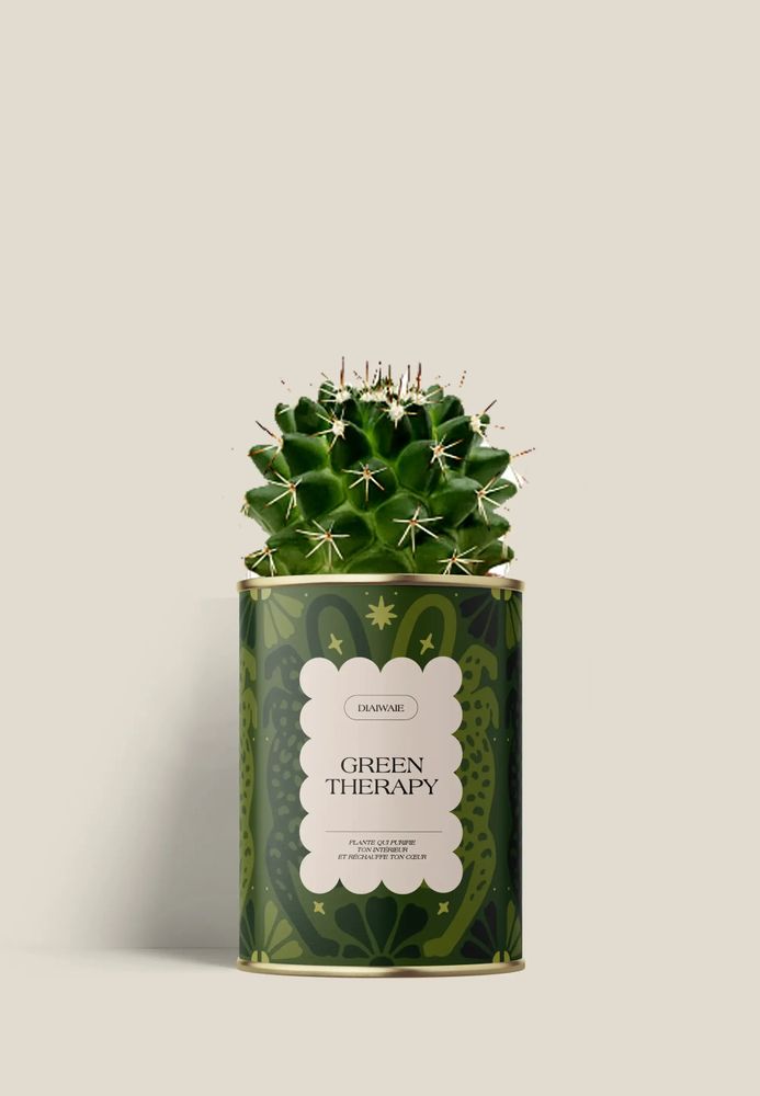 Gifts - GREEN THERAPY - Mini Cactus - DIAIWAIE