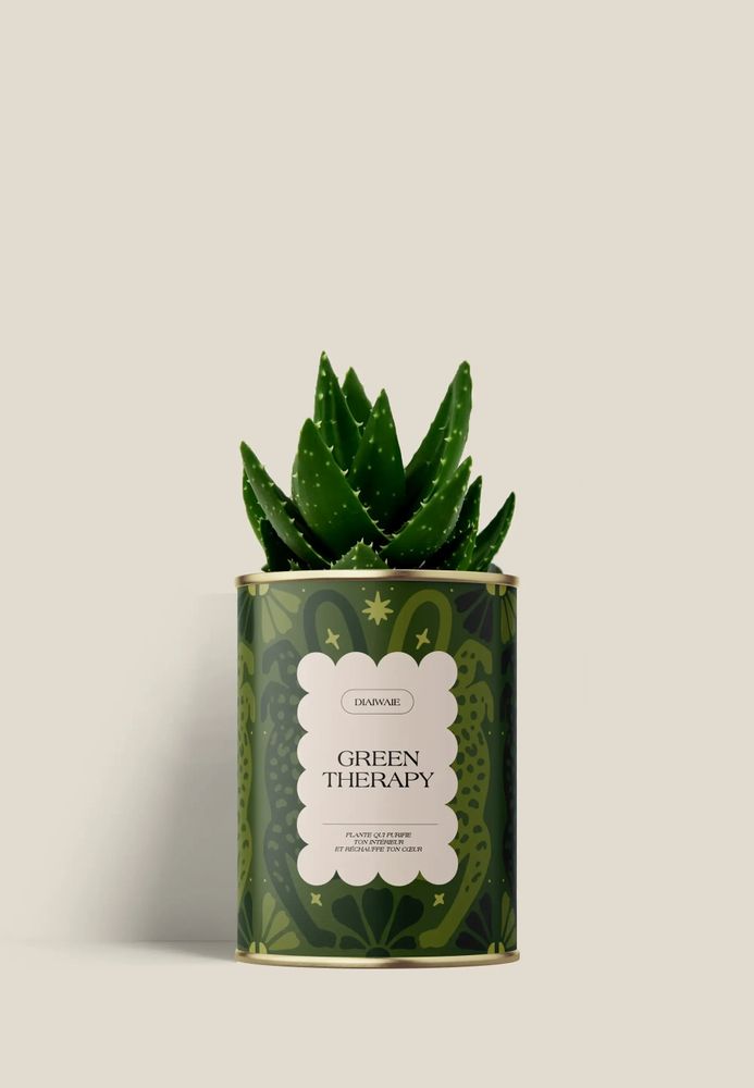 Gifts - GREEN THERAPY - Mini Aloé - DIAIWAIE