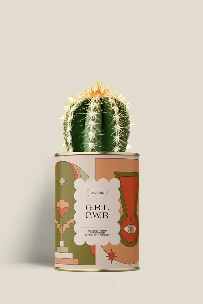 Gifts - G.R.L P.W.R - Mini Cactus - DIAIWAIE