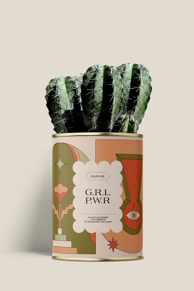 Cadeaux - G.R.L P.W.R - Maxi Cactus - DIAIWAIE