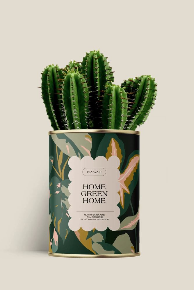 Gifts - Home Green Home - Maxi Cactus - DIAIWAIE