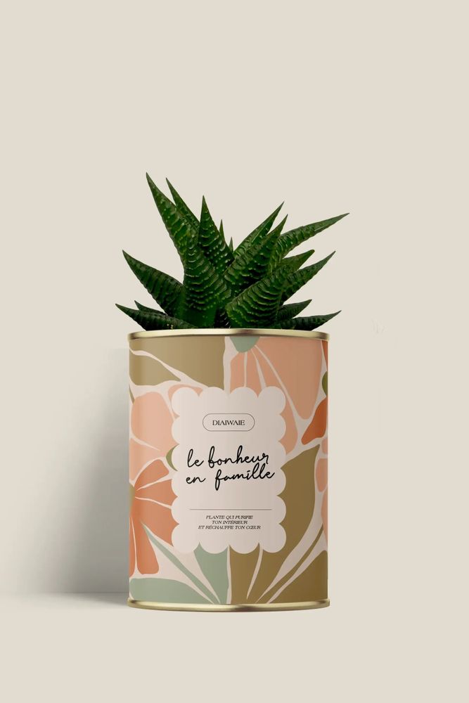 Gifts - Le bonheur en famille - Mini Aloé - DIAIWAIE