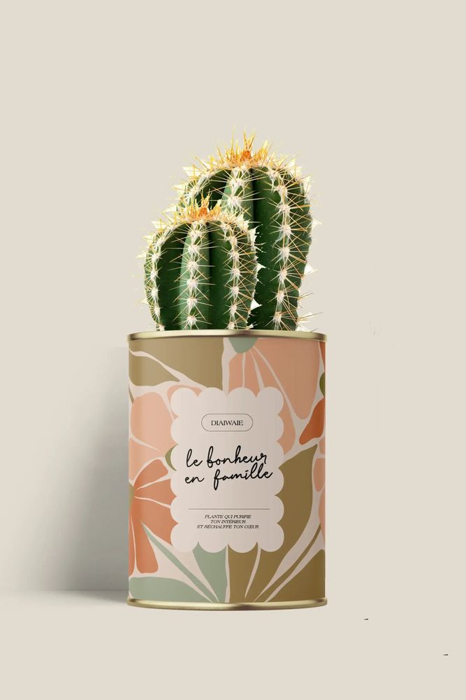 Gifts - Le bonheur en famille - Mini Cactus - DIAIWAIE