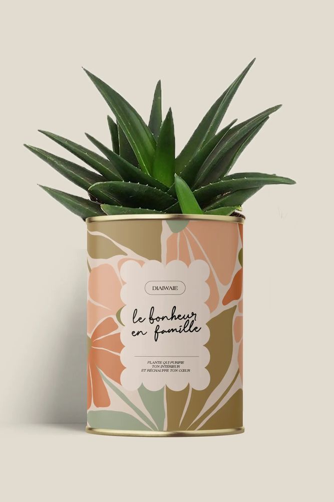 Gifts - Le bonheur en famille - Maxi Aloé - DIAIWAIE