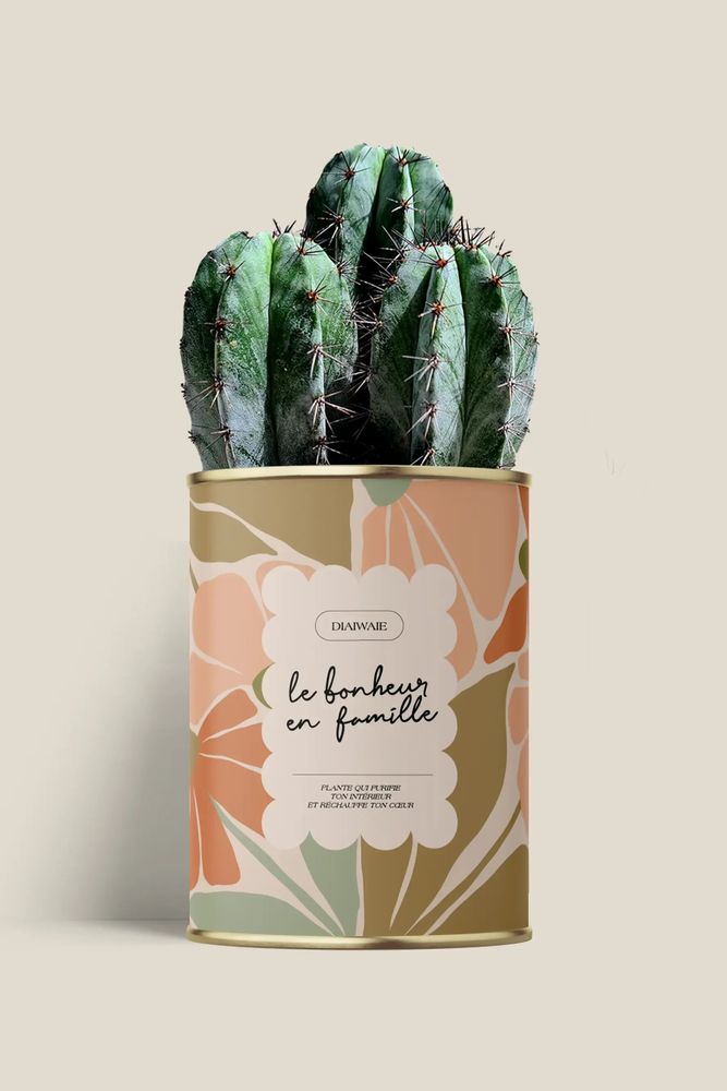 Cadeaux - Le bonheur en famille - Maxi Cactus - DIAIWAIE